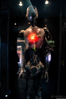 Автостопом по Европе. Лион, Франция