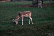 Автостопом по Европе. Лион, Франция