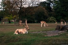 Автостопом по Европе. Лион, Франция