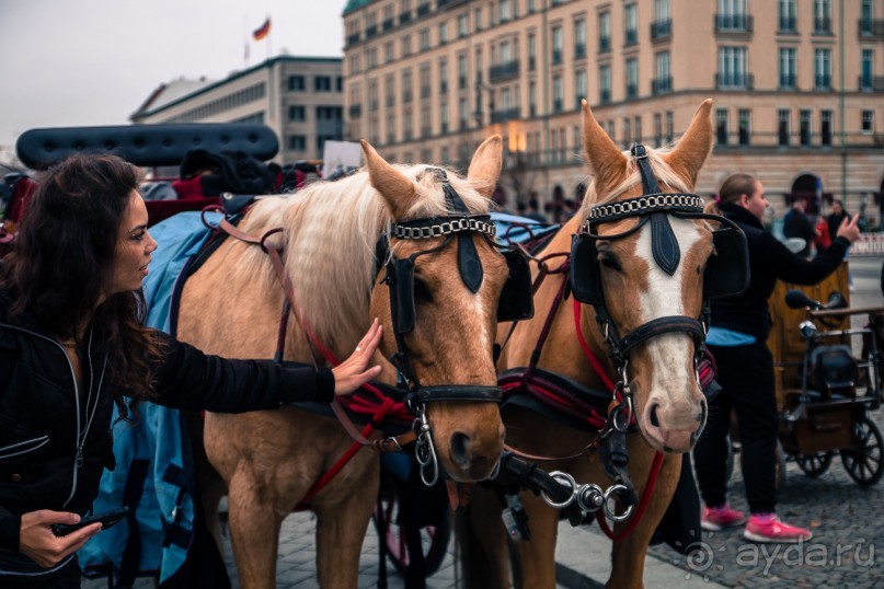 Прогулка по Берлину