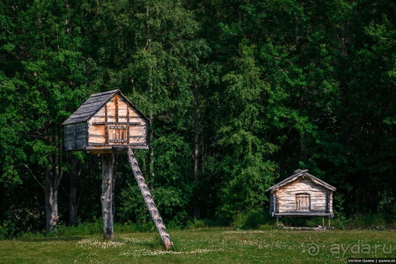 Автостопом через всю Норвегию: последние дни за полярным кругом