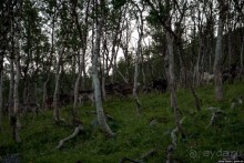 Путешествие через всю Норвегию. Часть 2