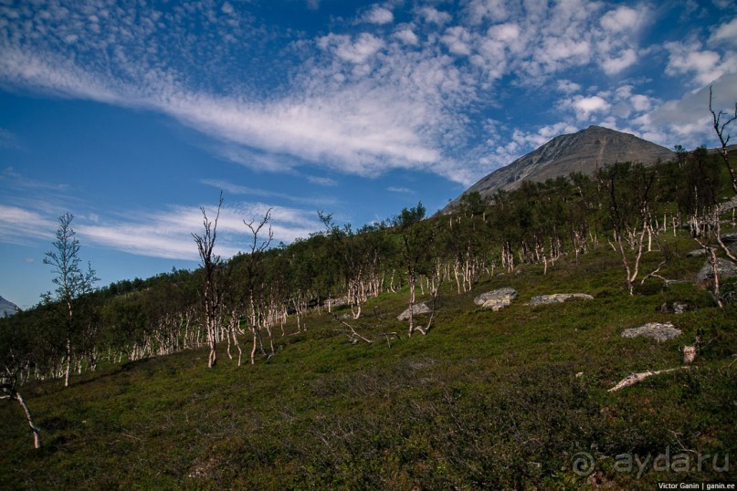Путешествие через всю Норвегию. Часть 2