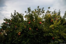 Автостопом по Европе. Барселона, Испания