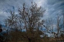 Автостопом по Европе. Барселона, Испания