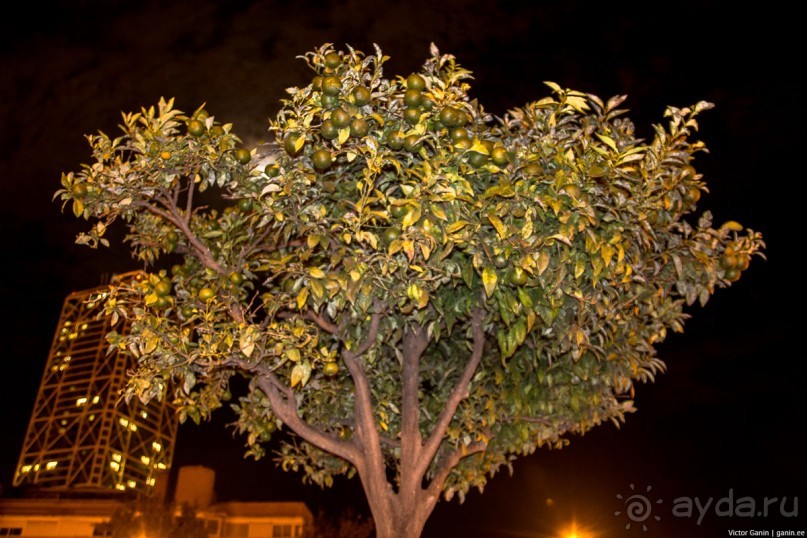 Автостопом по Европе. Барселона, Испания