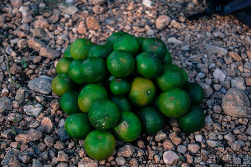 Автостопом по Европе. Барселона, Испания