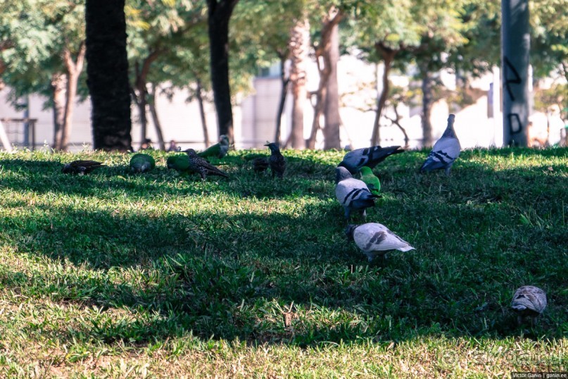 Автостопом по Европе. Барселона, Испания