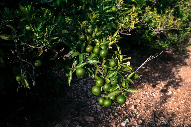Автостопом по Европе. Барселона, Испания