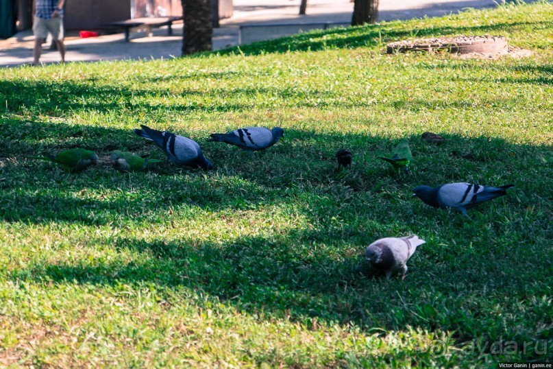 Автостопом по Европе. Барселона, Испания