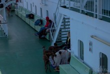 Путешествие через всю Норвегию. Часть 1