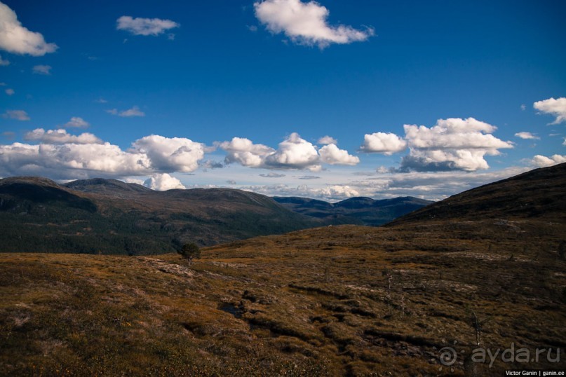 Путешествие через всю Норвегию. Часть 8. Снова в горы
