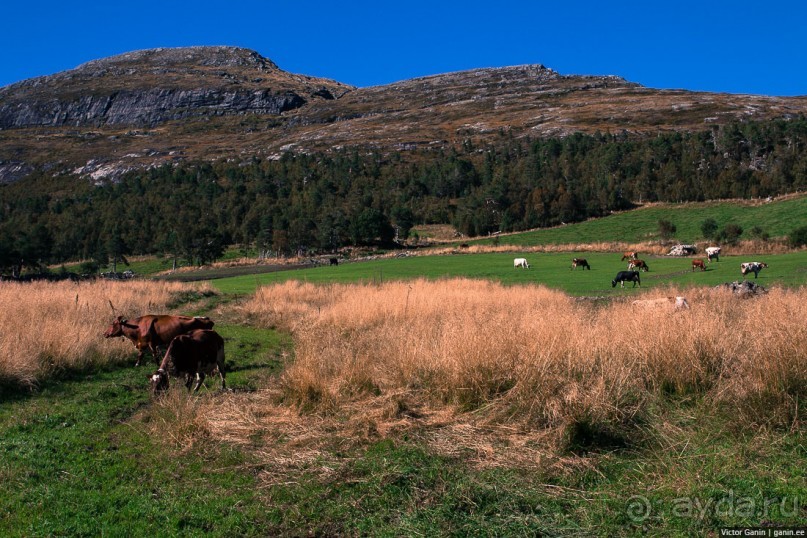 Путешествие через всю Норвегию. Часть 8. Снова в горы