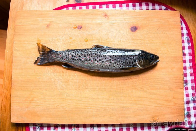 Путешествие через всю Норвегию. Часть 8. Снова в горы