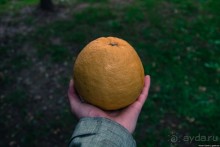 Автостопом по Испании. Пора валить