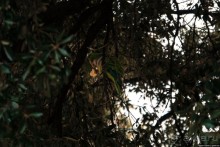 Автостопом по Испании. Пора валить