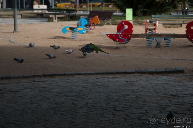 Автостопом по Испании. Пора валить