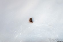 Автостопом по Испании. Пора валить