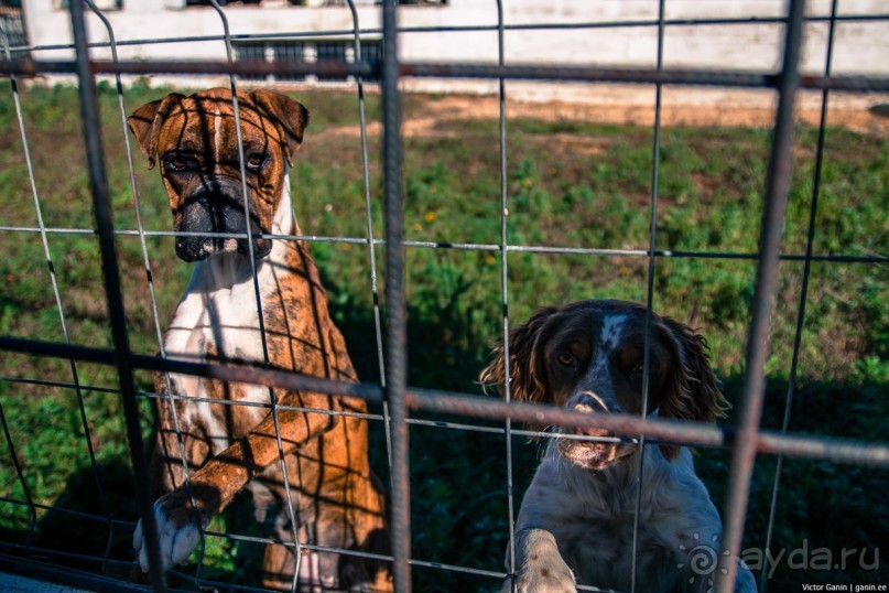Автостопом по Испании. Пора валить