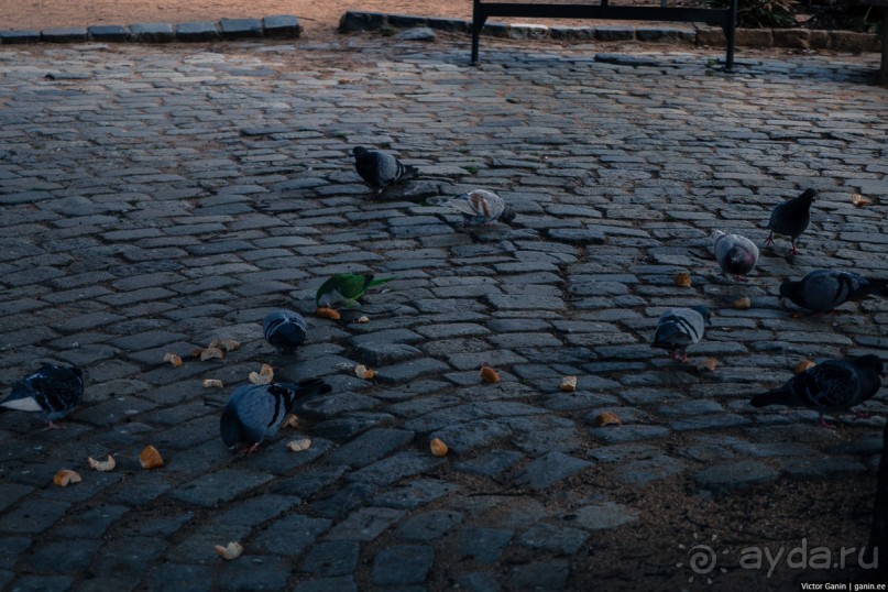 Автостопом по Испании. Пора валить