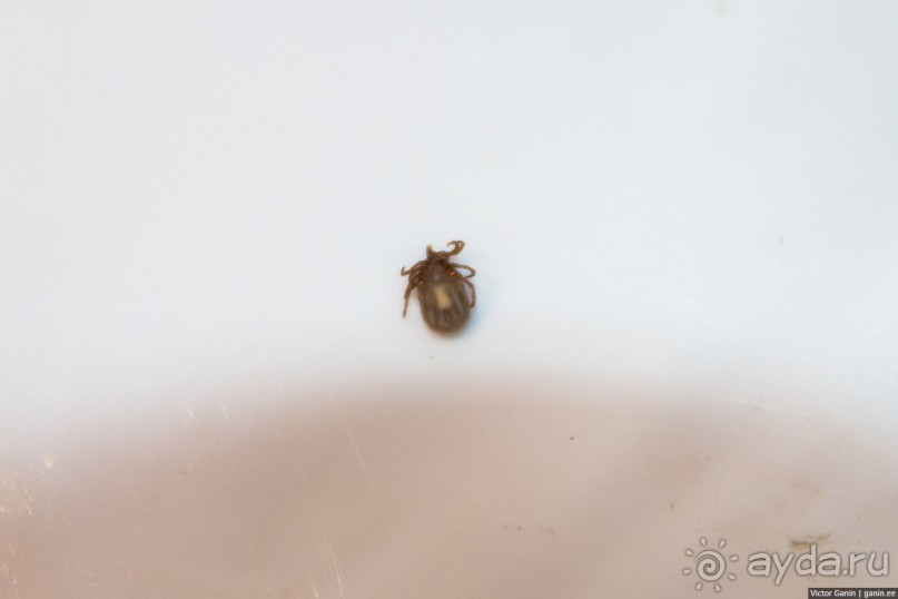 Автостопом по Испании. Пора валить