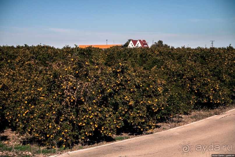 Автостопом по Испании. Пора валить