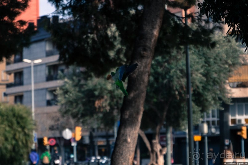 Автостопом по Испании. Пора валить