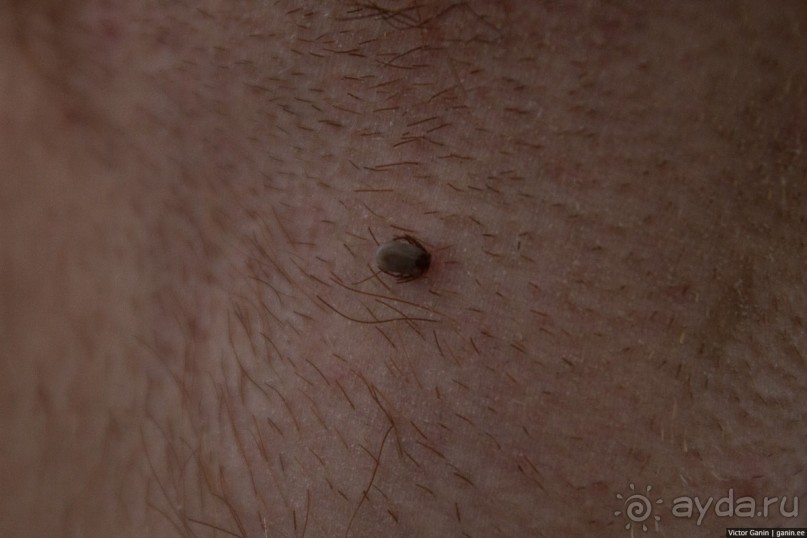 Автостопом по Испании. Пора валить