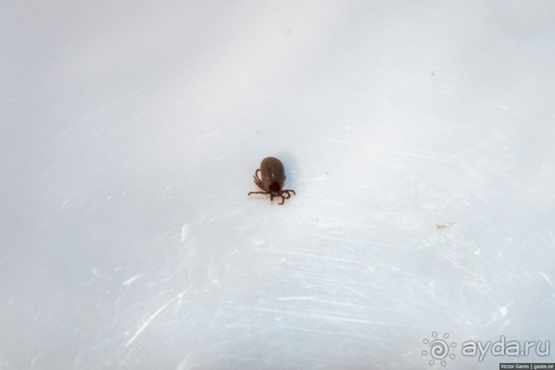 Автостопом по Испании. Пора валить