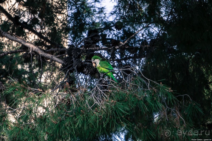 Автостопом по Испании. Пора валить