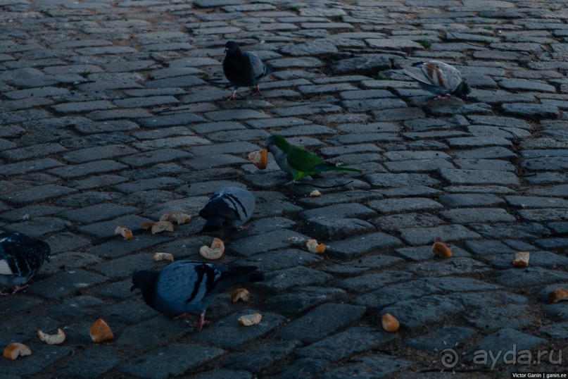 Автостопом по Испании. Пора валить