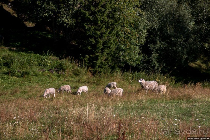 Путешествие через всю Норвегию. Часть 6. Как мы попали в норвежский Ад.