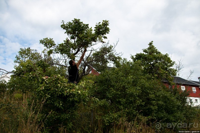 Путешествие через всю Норвегию. Часть 6. Как мы попали в норвежский Ад.