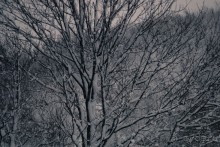 Путь домой. Завершение 165-дневного путешествия