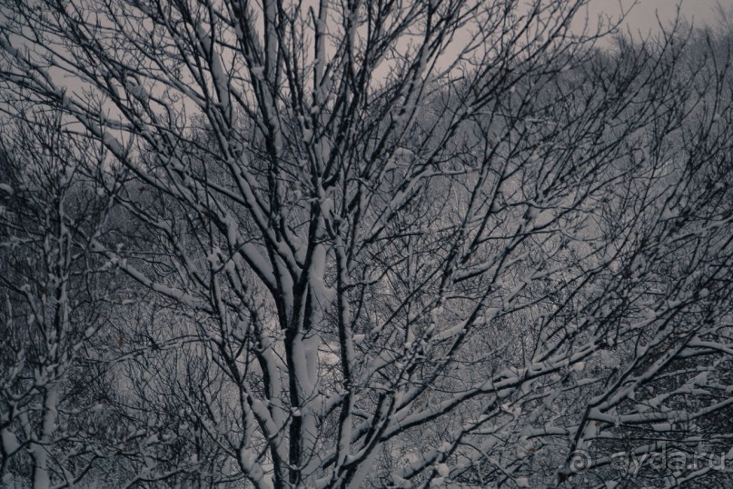 Путь домой. Завершение 165-дневного путешествия