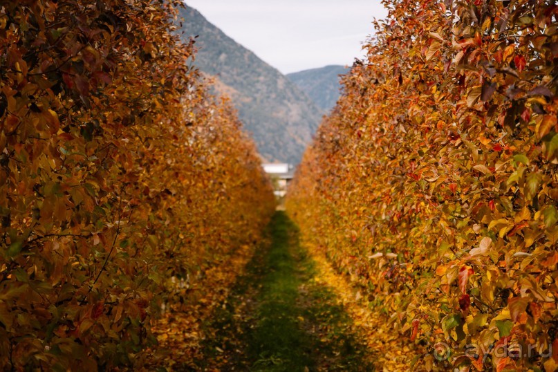 Путь домой. Завершение 165-дневного путешествия