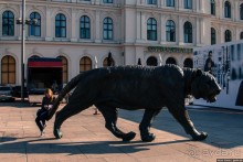 Осло. Последние дни путешествия по Норвегии