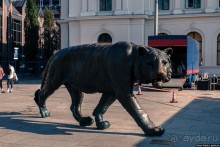 Осло. Последние дни путешествия по Норвегии