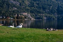 Осло. Последние дни путешествия по Норвегии