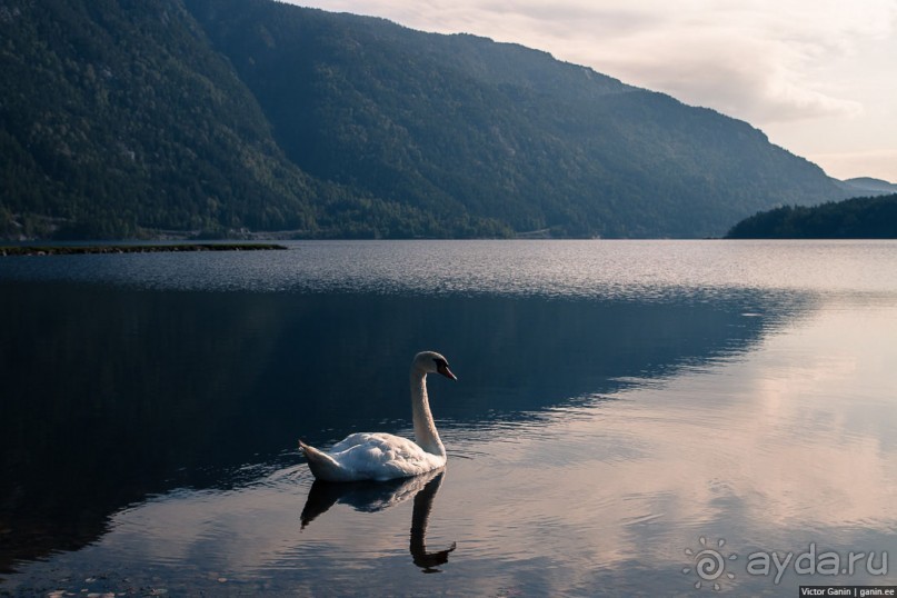 Осло. Последние дни путешествия по Норвегии