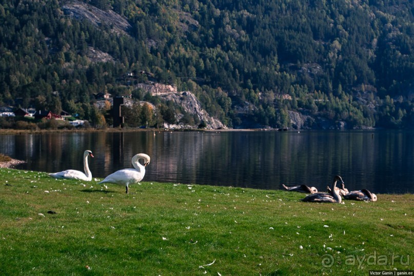 Осло. Последние дни путешествия по Норвегии