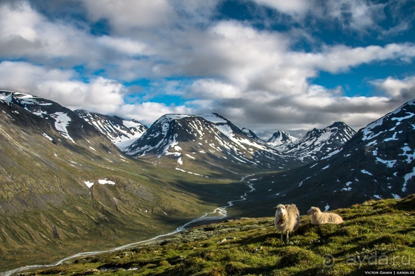 Автостопом через всю Норвегию. Прогулка на вершину Норвегии