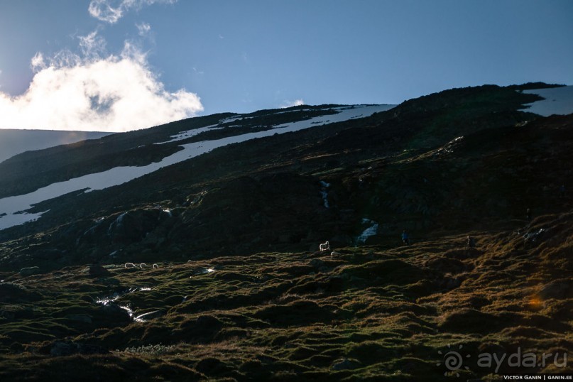 Автостопом через всю Норвегию. Прогулка на вершину Норвегии