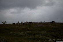 Путешествие через всю Норвегию. Часть 5