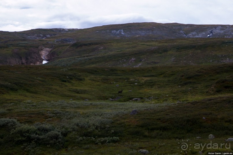 Путешествие через всю Норвегию. Часть 5