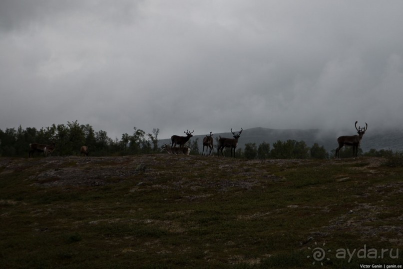 Путешествие через всю Норвегию. Часть 5