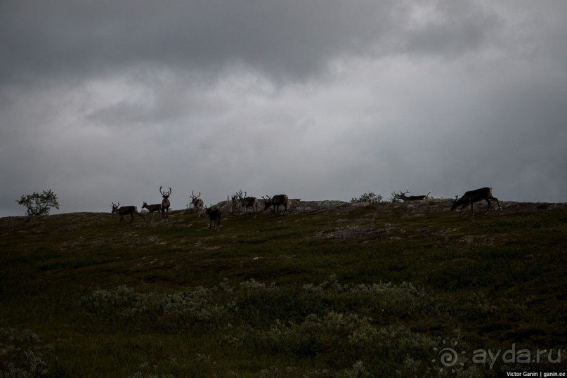 Путешествие через всю Норвегию. Часть 5