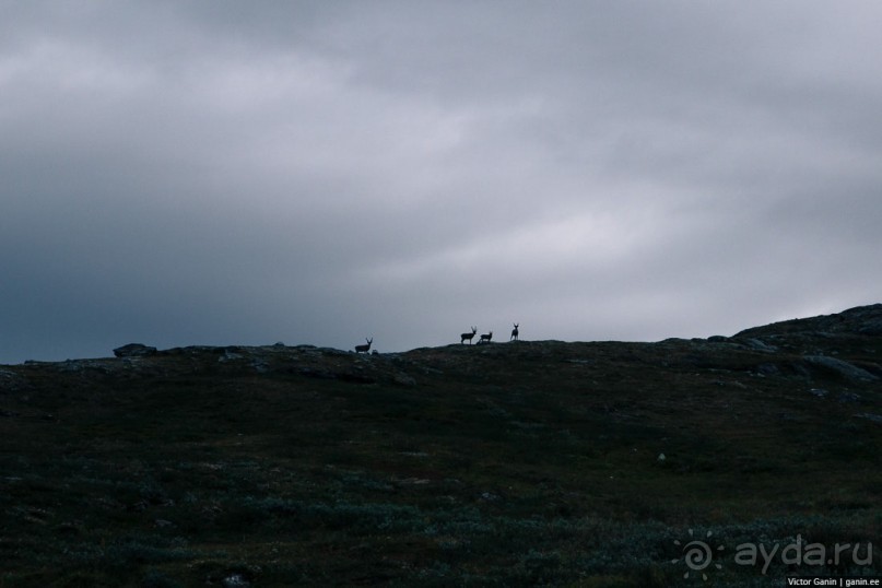 Путешествие через всю Норвегию. Часть 5