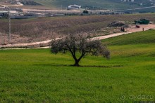 Путь к Caminito del Rey