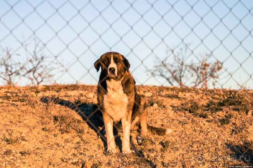 Путь к Caminito del Rey